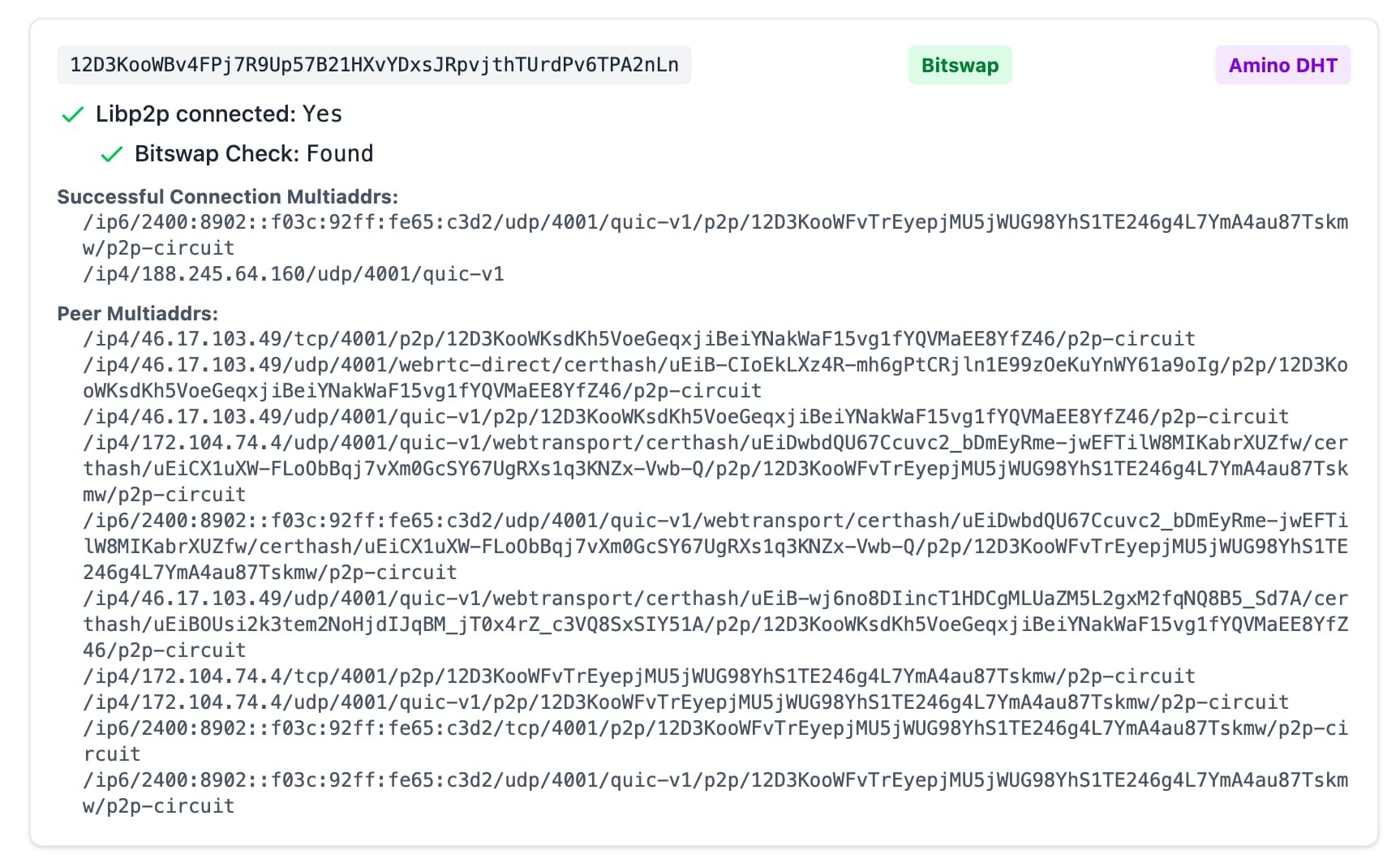 ipfs-check multi-provider check with NAT hole punching