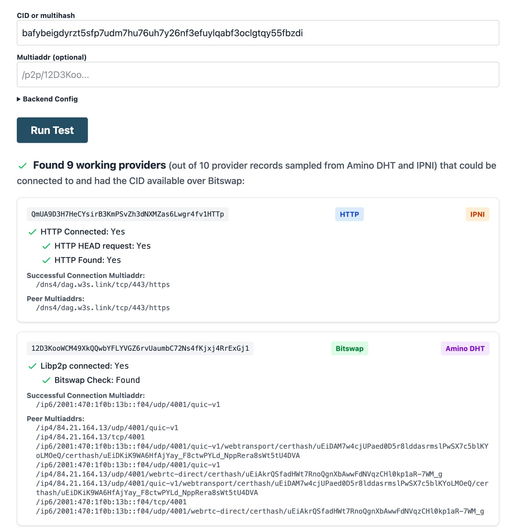 ipfs-check multi-provider check