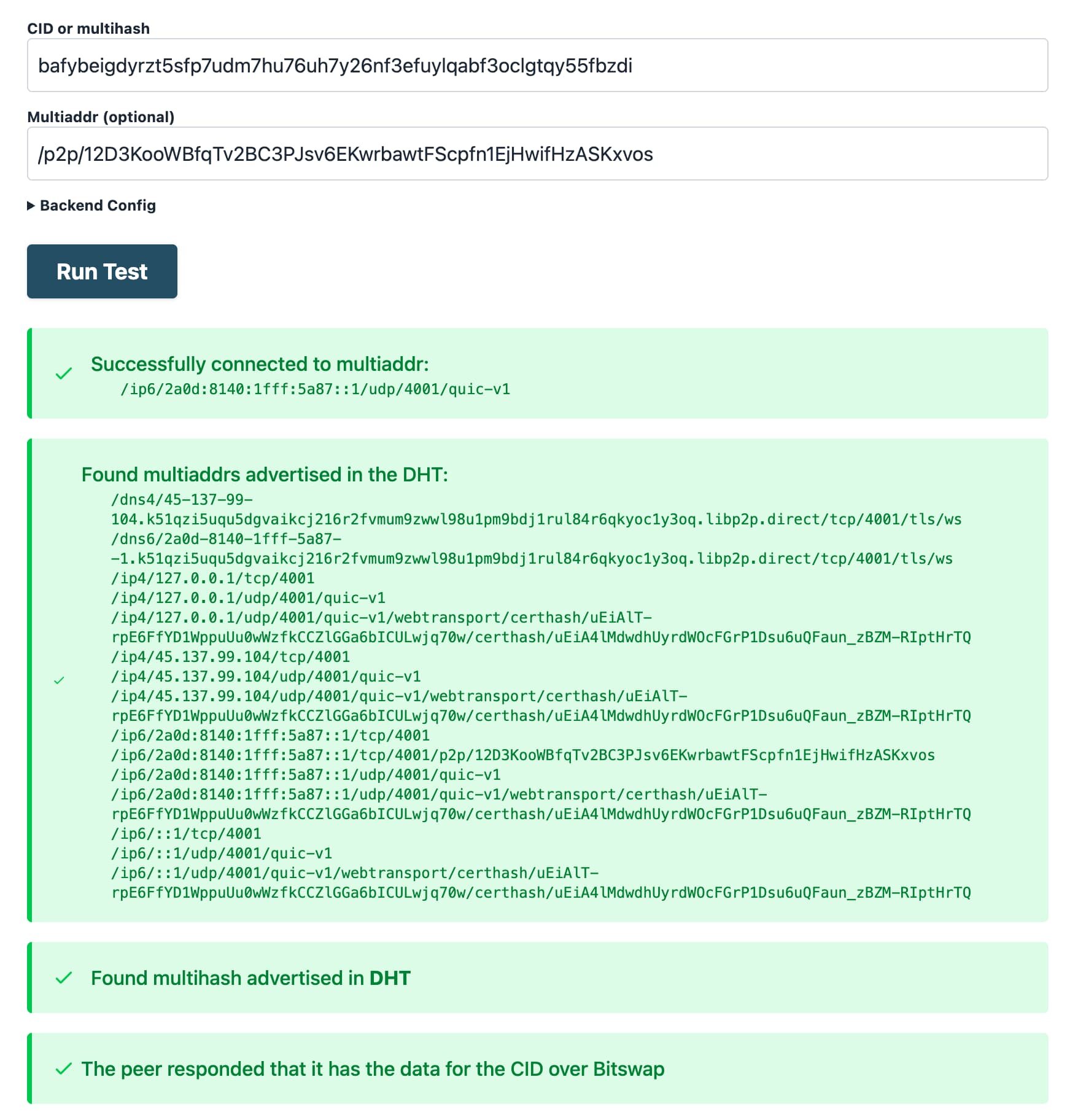 ipfs-check provider-specific check